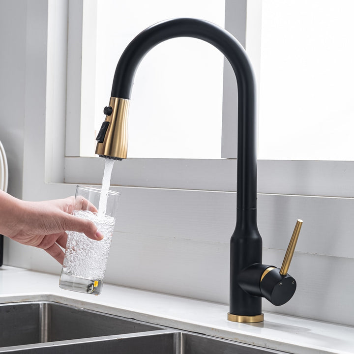 Black with brushed gold modern single hole pull out dual sprayer kitchen faucet