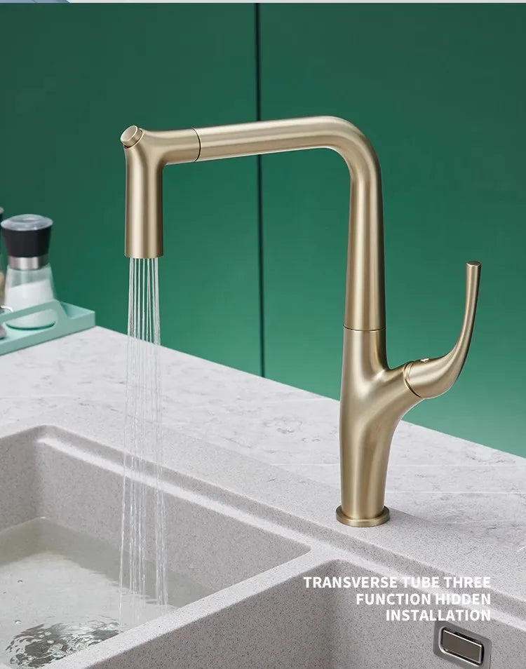 Marcelo- Italian Design dual pull spray kitchen faucet