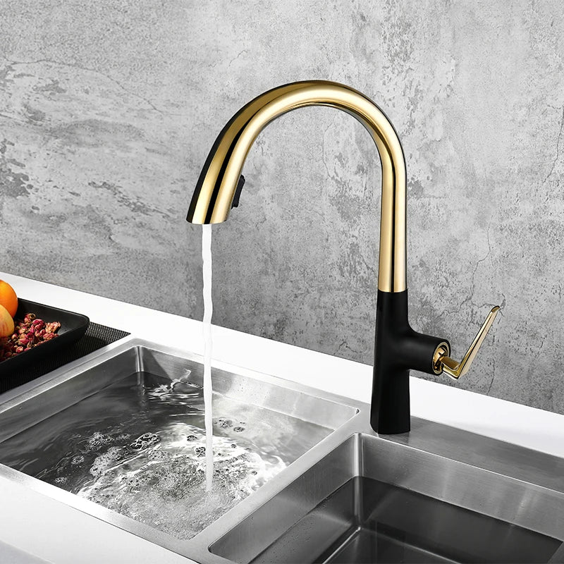 Botero- New Black with gold pull out dual sprayer kitchen faucet