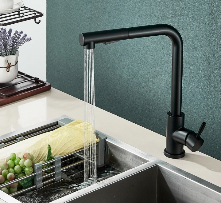 Laundry Black pull out faucet