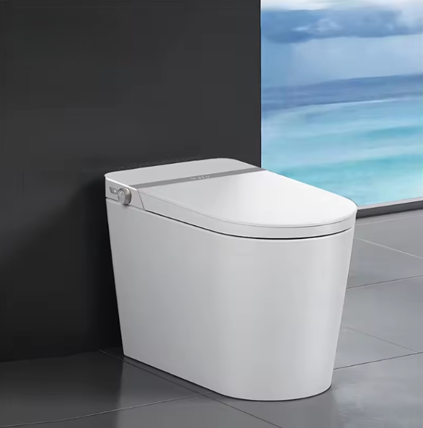 Tron-New White with brushed gold trim intelligent washlet toilet bidet fully loaded