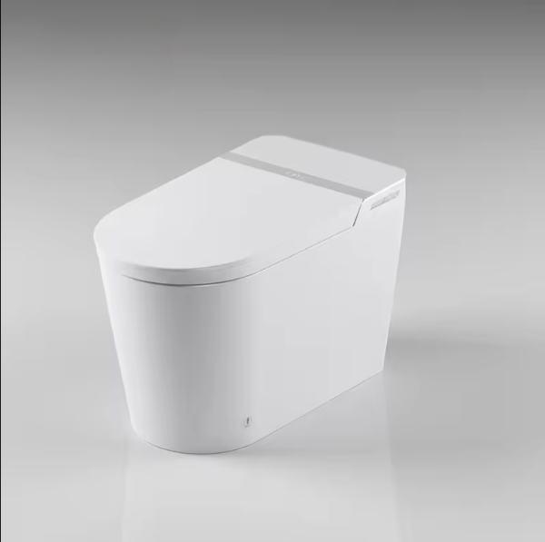 Tron-New White with brushed gold trim intelligent washlet toilet bidet fully loaded