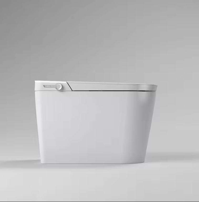 Tron-New White with brushed gold trim intelligent washlet toilet bidet fully loaded