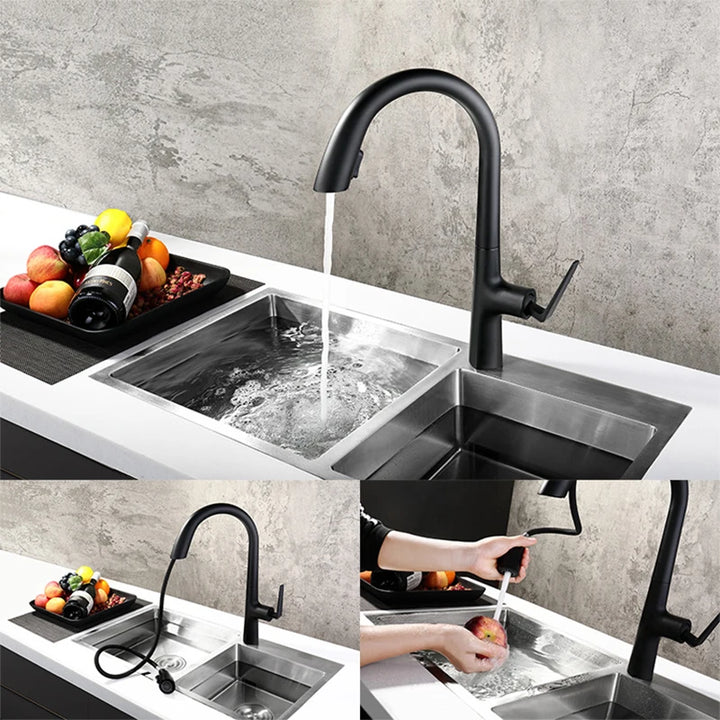 Botero- New Black with gold pull out dual sprayer kitchen faucet