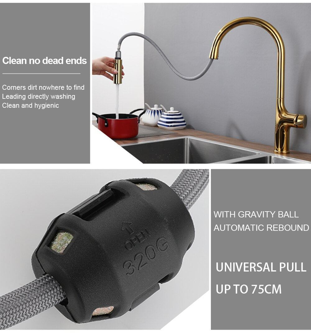 Amsterdam -Polished Rose Gold-White-Brushed Gold- Gold- Black Two Tone  Kitchen Faucet with pull out dual sprayer