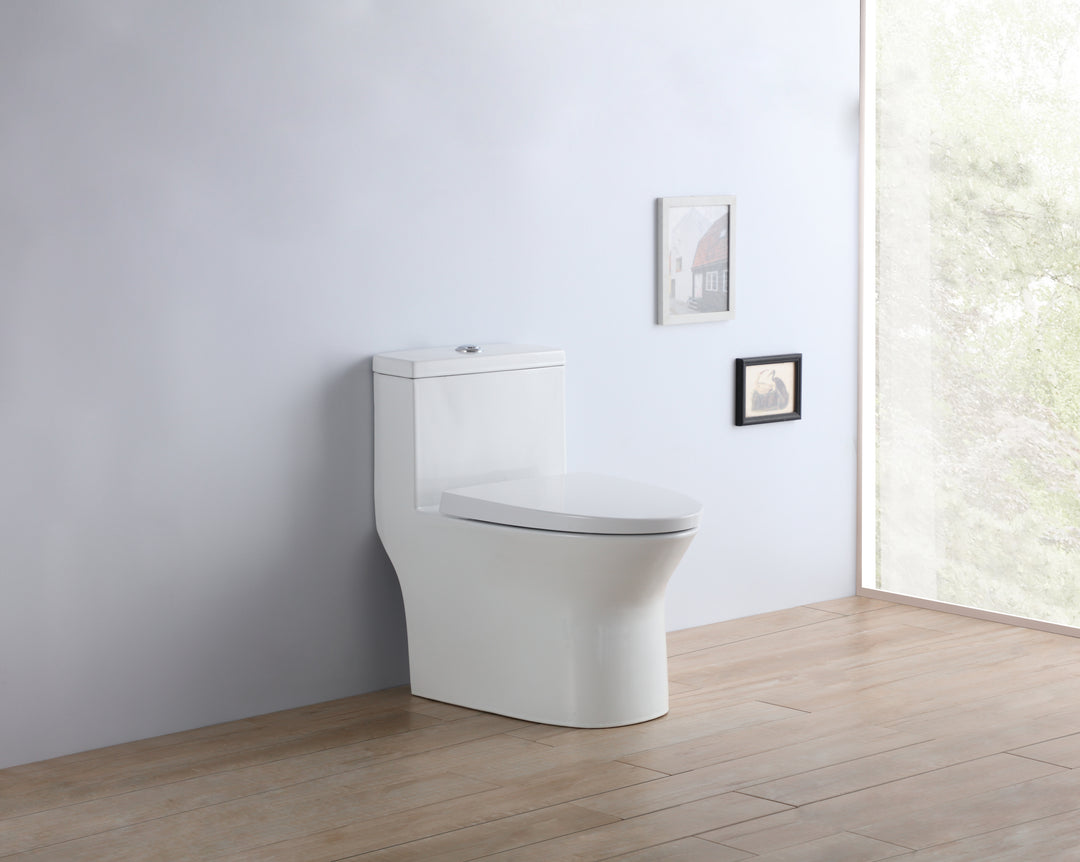 One Piece Dual Flush Toilet Completed with Soft Close and Removable Toilet Seat 950