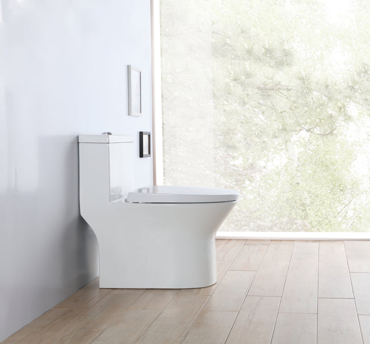 One Piece Dual Flush Toilet Completed with Soft Close and Removable Toilet Seat 950