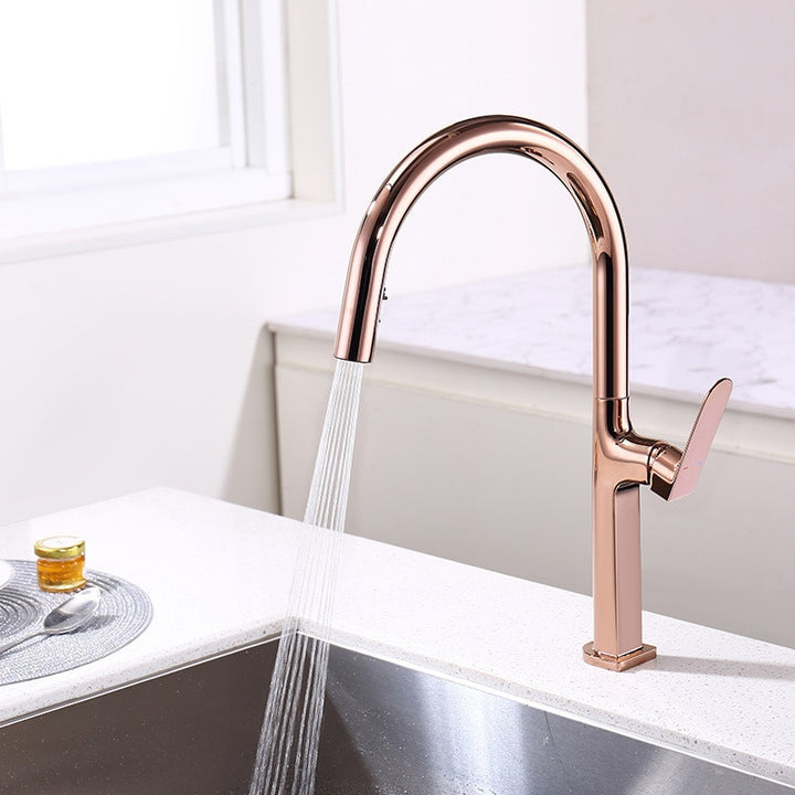 Aphrodite Kitchen Faucet Dual Spray Pull Out