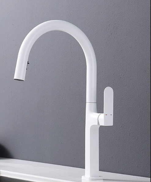 Aphrodite Kitchen Faucet Dual Spray Pull Out