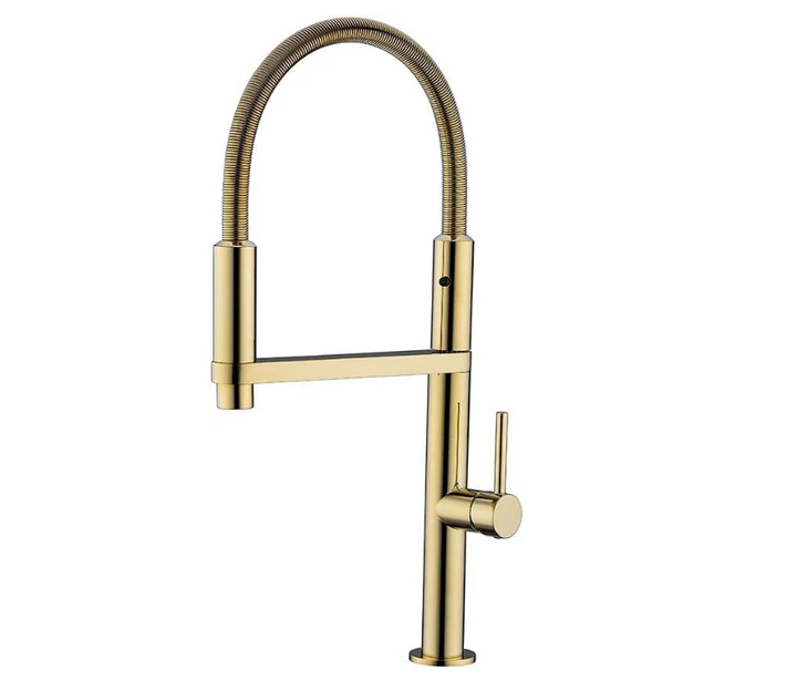 24K Gold polished brass 2 way kitchen faucet sprayer