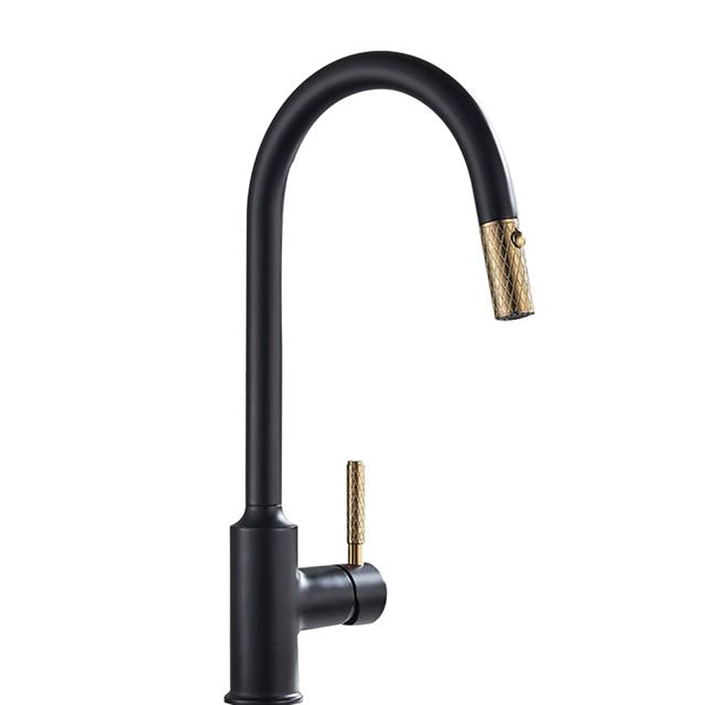 Windsor-Black with brushed gold pull out dual spray kitchen faucet