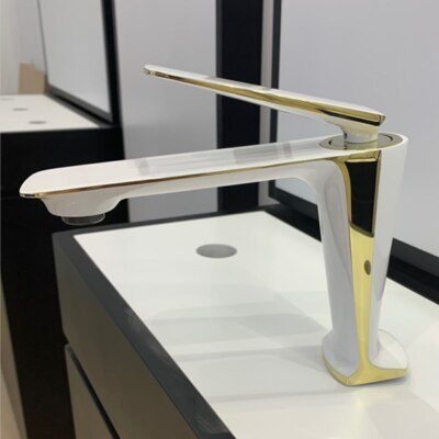 Cotroni- New 2024 Euro Design Single Hole Bathroom Faucet